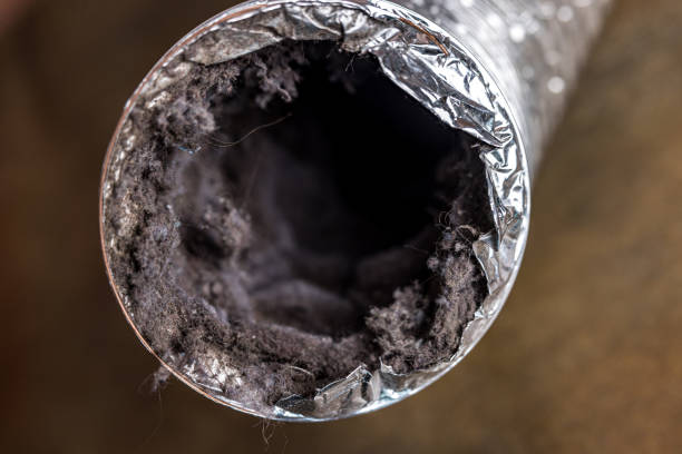 Best Home Air Vent Cleaning  in Monticello, IL